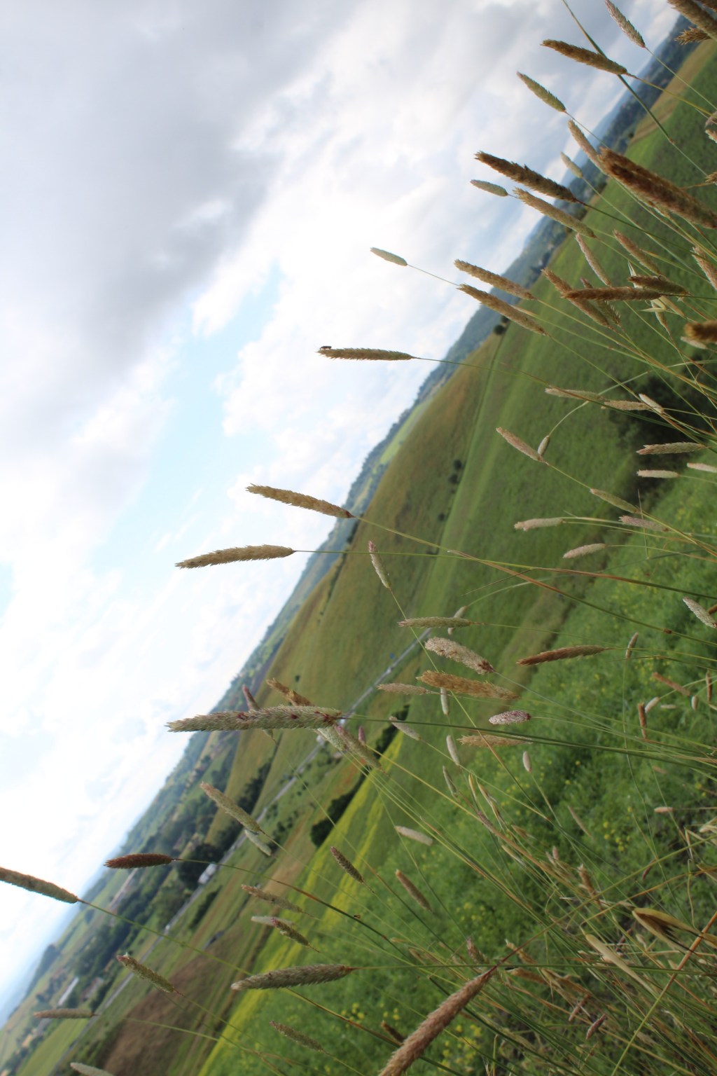 Tappa 6 – Gambassi&nbsp;Terme