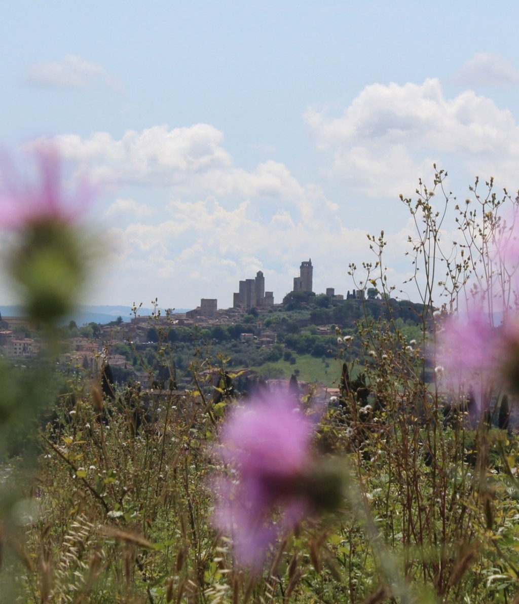 Tappa 7 – Alla scoperta di San Gimignano: Incontro fortuito e sorprese lungo la Via&nbsp;Francigena